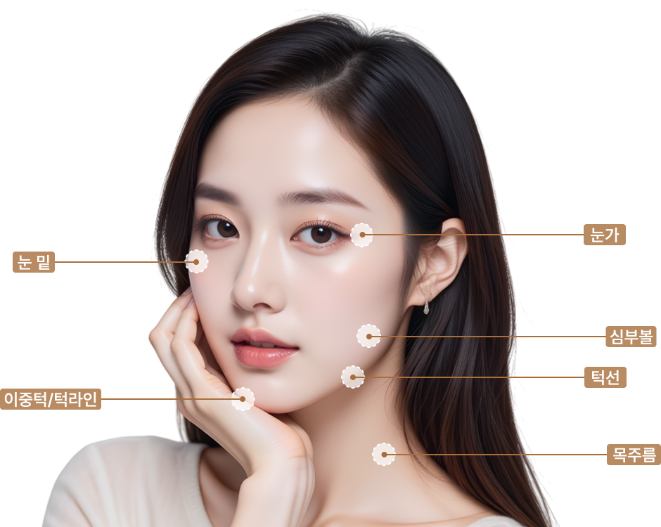 시술 부위 안내