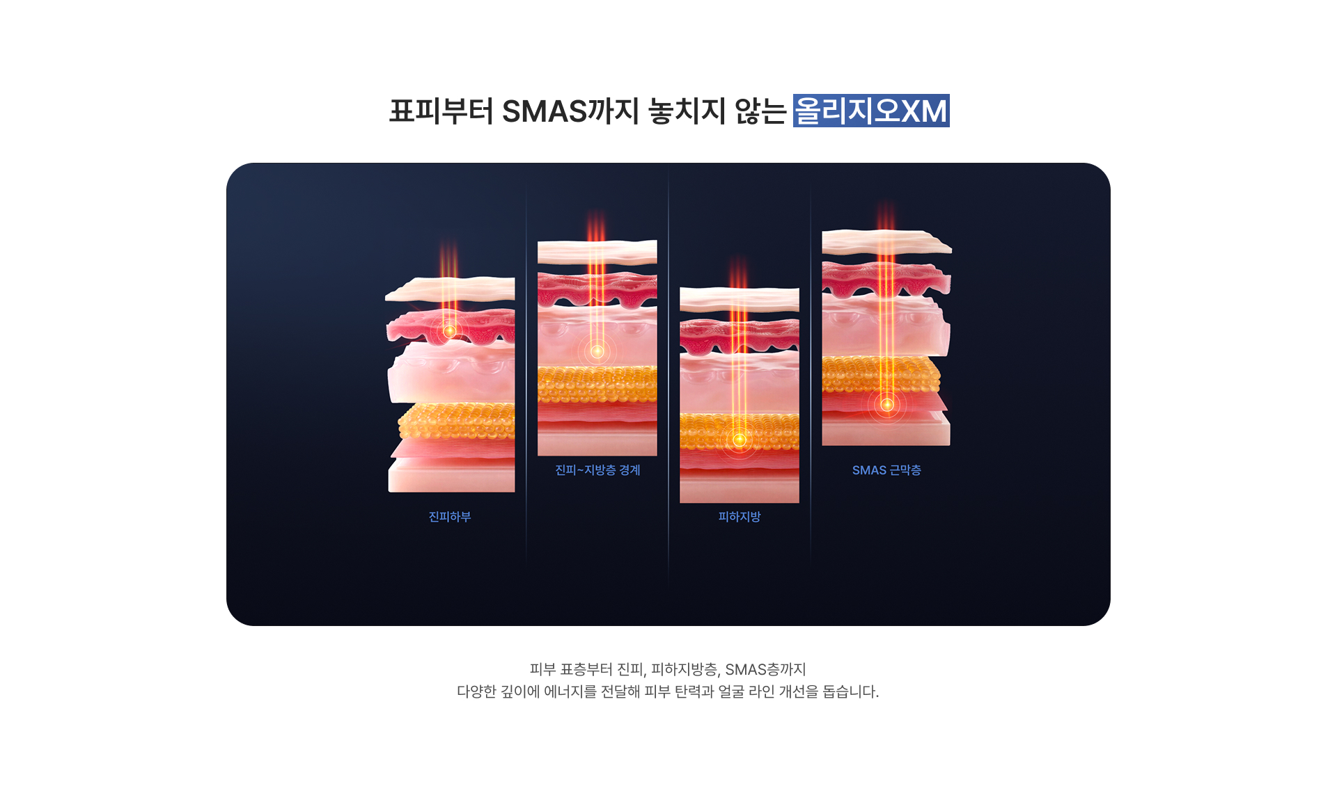 올리지오XM 이미지 4