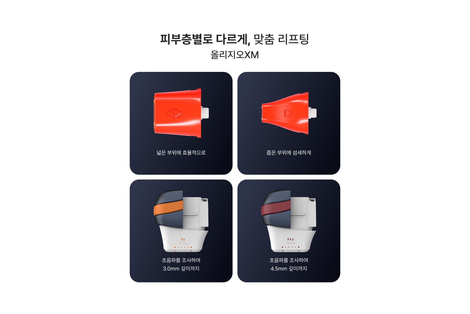 올리지오XM 이미지 6